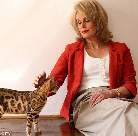 Joana Lumley com seu gato Bengal