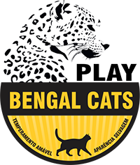 Play Bengal Cats
