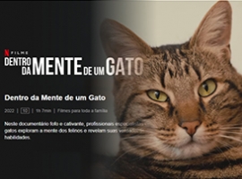 Novo Documentrio da Netflix - Dentro da Mente de um Gato - Agosto de 2022
