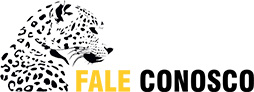 Fale conosco