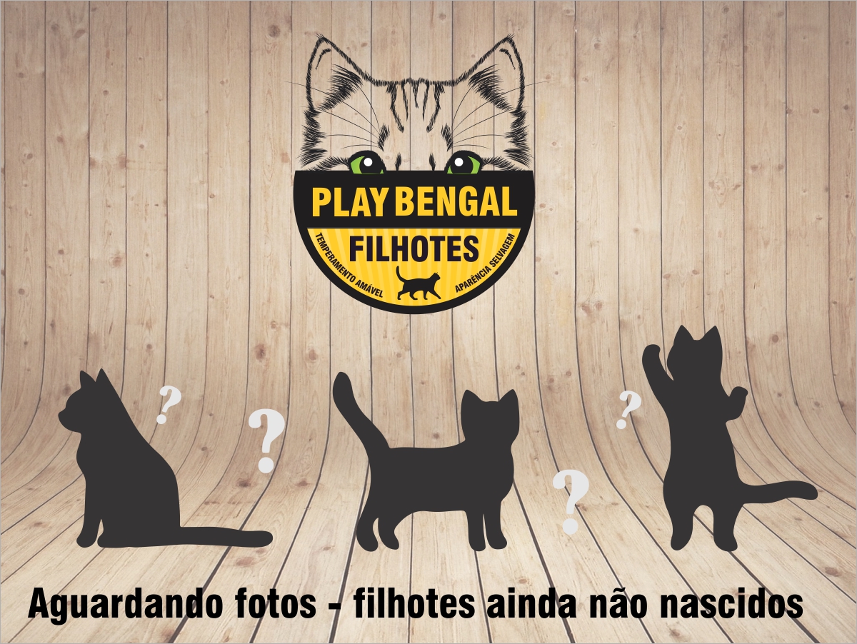 Pr�ximas Ninhadas - Reserve Agora